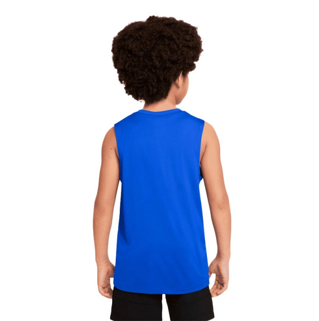 Майка Nike NK DF HBR SL TOP DO7090-480