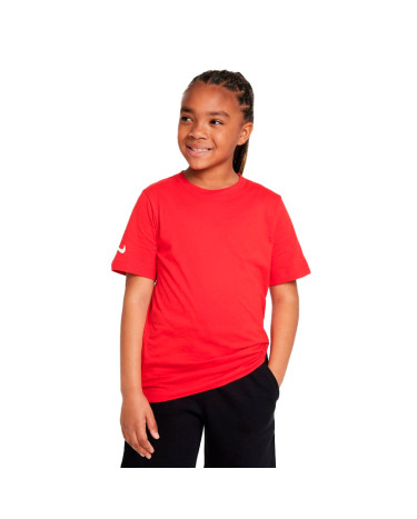 Футболка Nike NK PARK20 SS TEE CZ0909-657