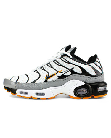 Nike Air Max Plus TN Double Swoosh Mean Grey White