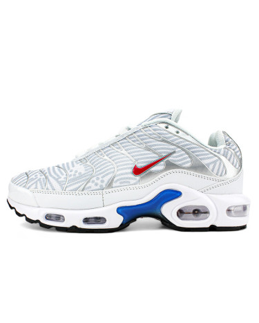 Nike Air Max Plus Euro Tour Particle Grey CW7575-001