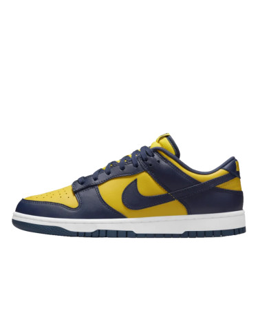 Nike Dunk Low Michigan DD1391-700