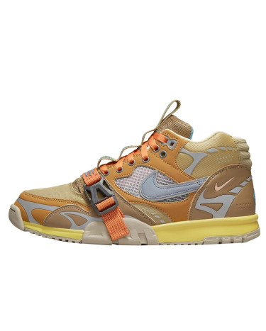 Nike Air Trainer 1 Coriander DH7338-300